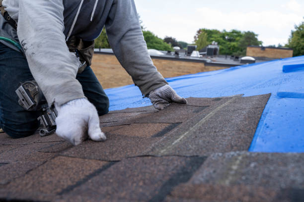 Best Roof Gutter Cleaning  in Marseles, IL